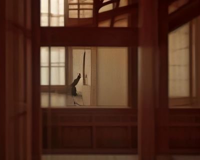 蘑菇社区内容编辑团队在明亮办公室内专注审阅资讯稿件，桌面摆放着多台显示器与笔记本，氛围专业而温暖